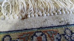Removing mold from the rug